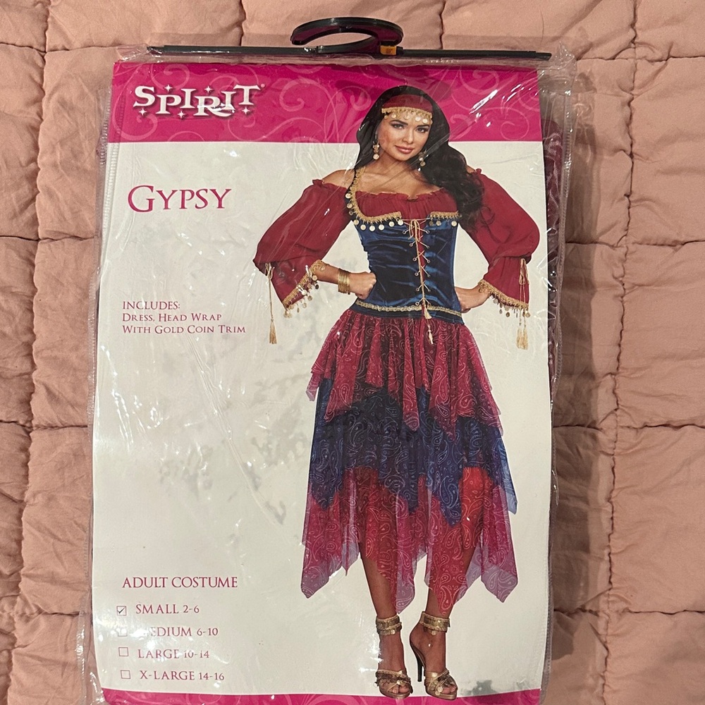 Women’s Gypsy Costume